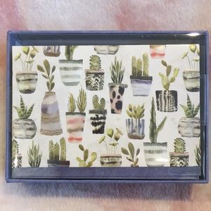 Plants Watercolor Succulents Boxed Note Card Set of 14/15 Blank w envelopes NWT